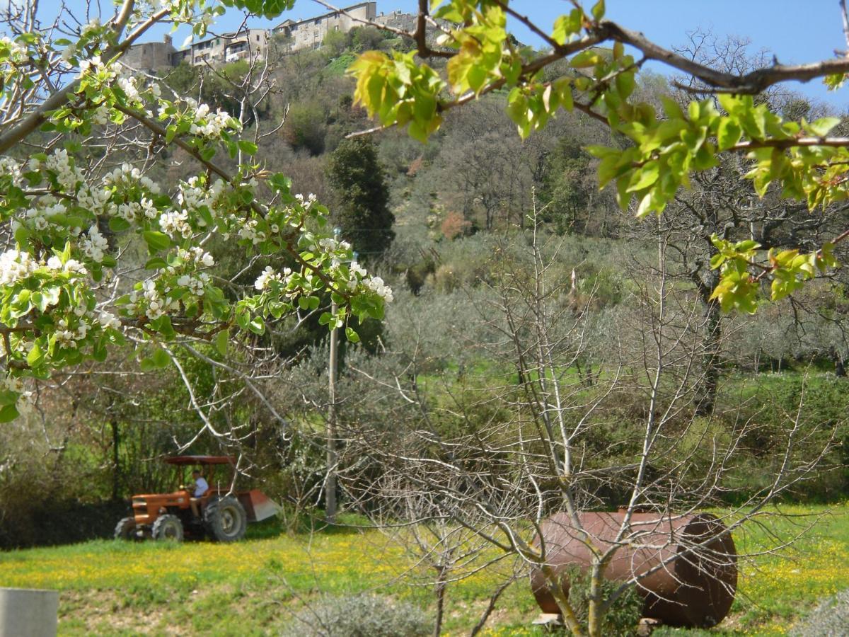 Montanari Agrivillage Narni Eksteriør bilde
