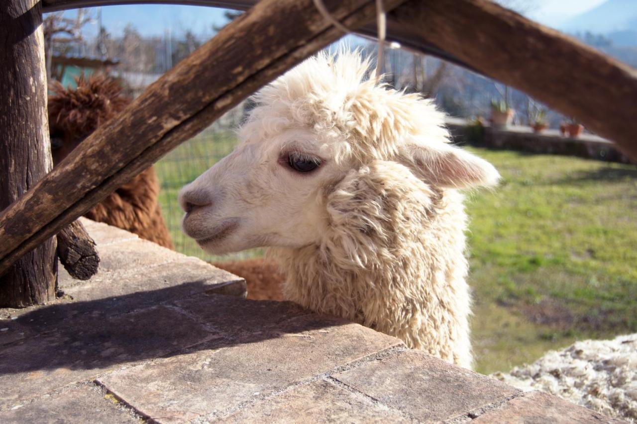 Montanari Agrivillage Narni Eksteriør bilde